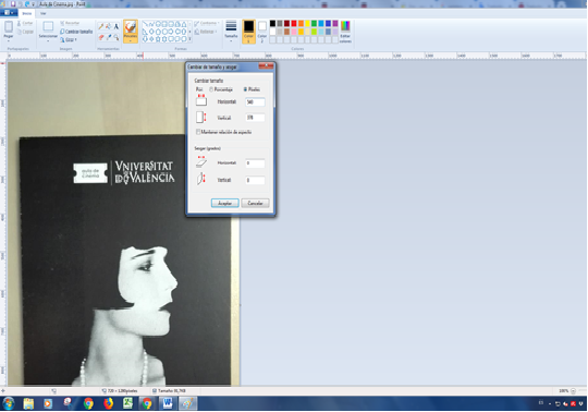 Imatge en paint